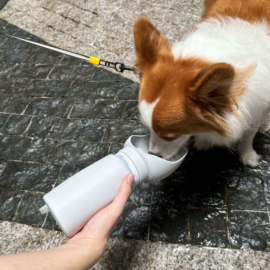 Foldable Water Bottle for Pets with 550 ml Capacity
