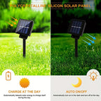 Solithia Dragonfly Light String | Solar | 8 Modes | IP65 Weatherproof | 5m 20 LEDs