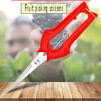 GardenSharp Precision Garden Shears | Ergonomic & Sharp | For Fruit Trees, Bonsai & Ornamental Plants