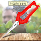 Schnittwerk Garden Shears | Precise Cutting for Fruit Trees & Bonsai | Ergonomic & Sharp | For Harvesting & Pruning