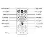 Remote Control Ceiling Fan Lamp