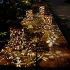 Solar Dragonfly Hollow Light