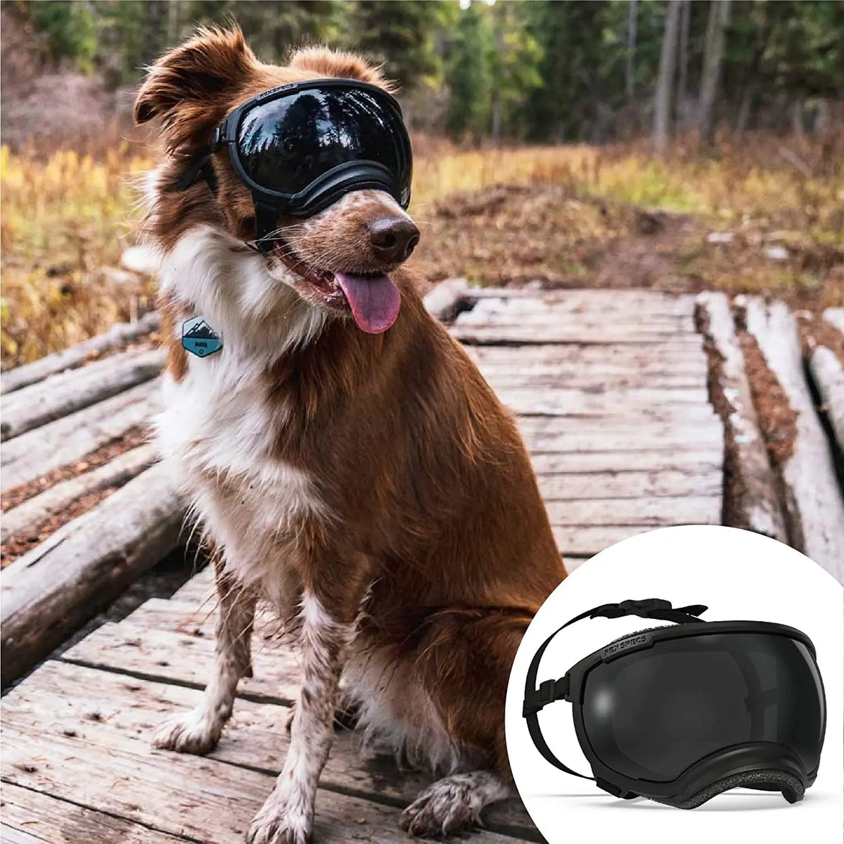 Dog sunglasses with UV protection windproof adjustable