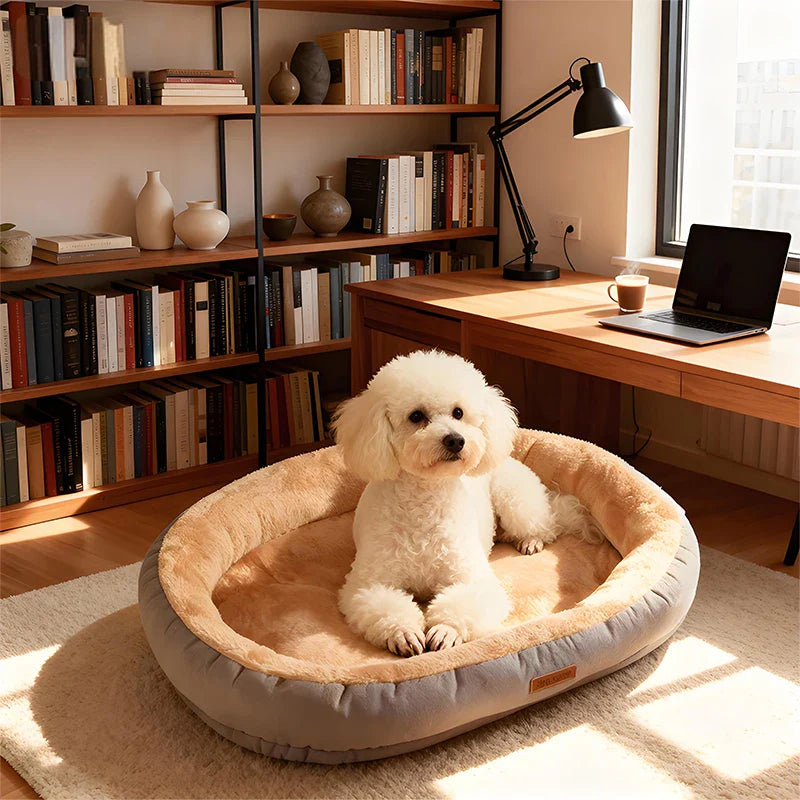 Oval Plush Bed for Dogs & Cats
