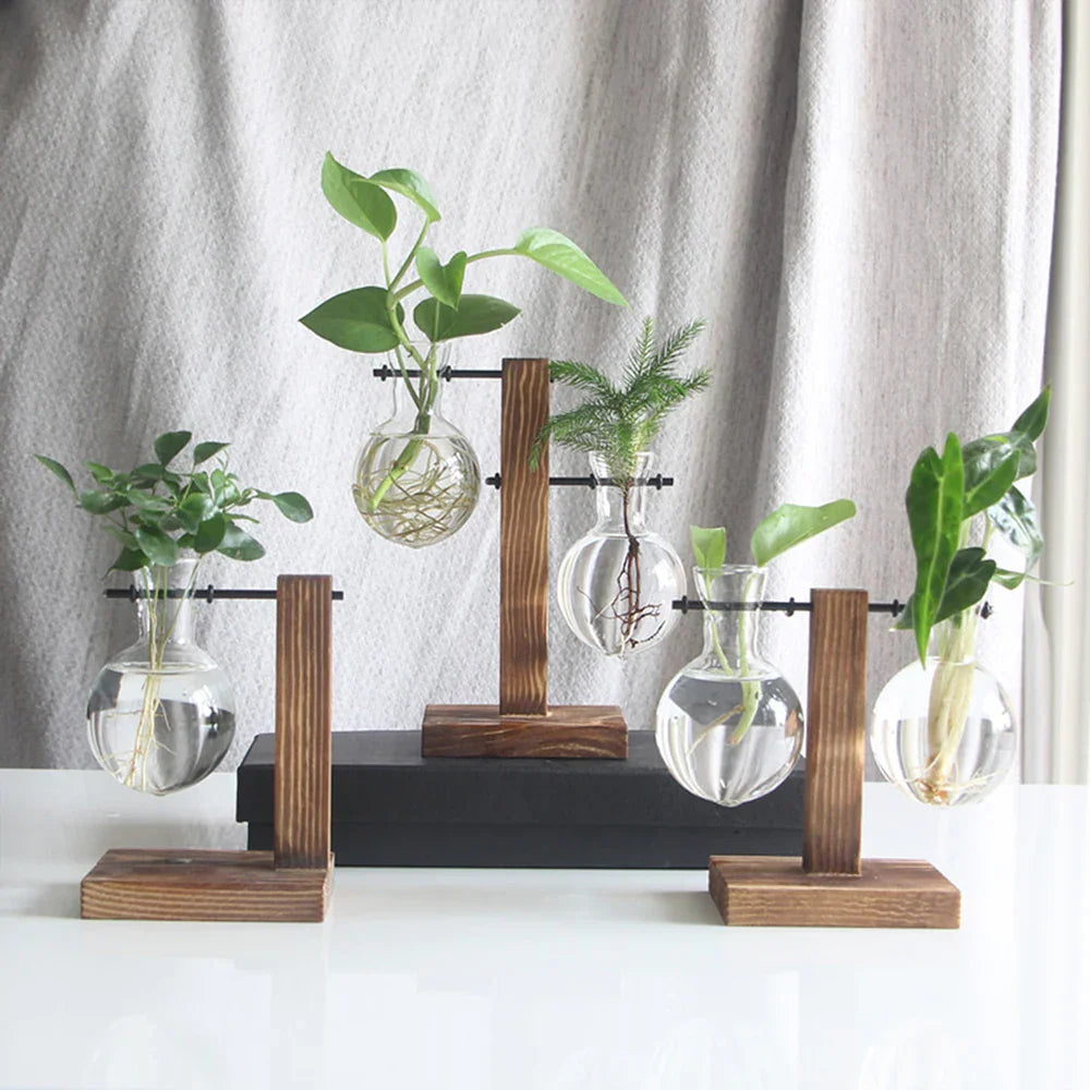 Luminous green in a glass embrace
