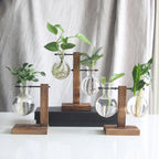 Luminous green in a glass embrace