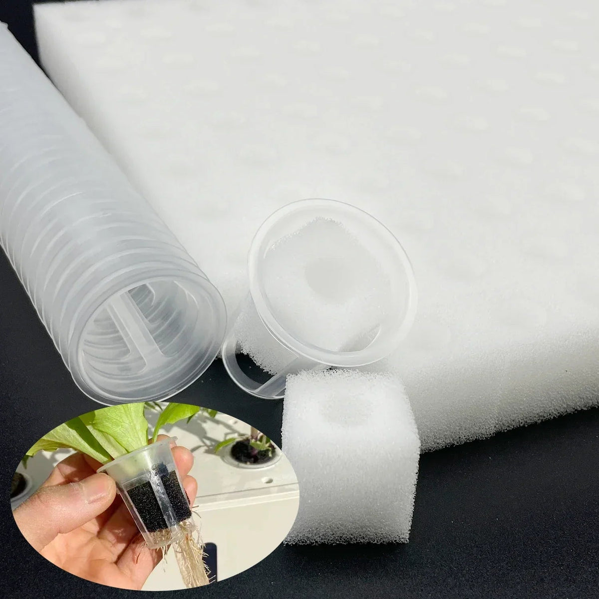 Germina Propagation Sponge Mat | 100 Seed Holes | For Hydroponics & Soil | 25×25cm