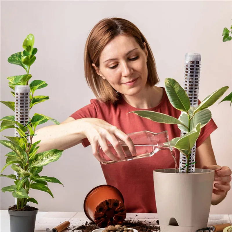 Pillar for climbing plants and green plants – Support columns for vertical plant cultivation