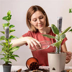 Pillar for climbing plants and green plants – Support columns for vertical plant cultivation