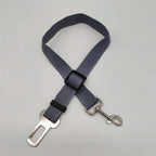 Adjustable seat belt for dogs in the car
