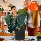 Felt plant sack with carrying handles – Breathable and durable for garden plants and flowers