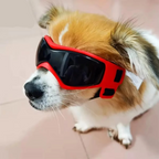 Protective UV Sunglasses for Small Dogs with Adjustable Straps