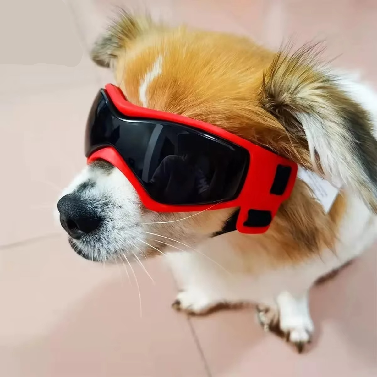 Protective UV Sunglasses for Small Dogs with Adjustable Straps