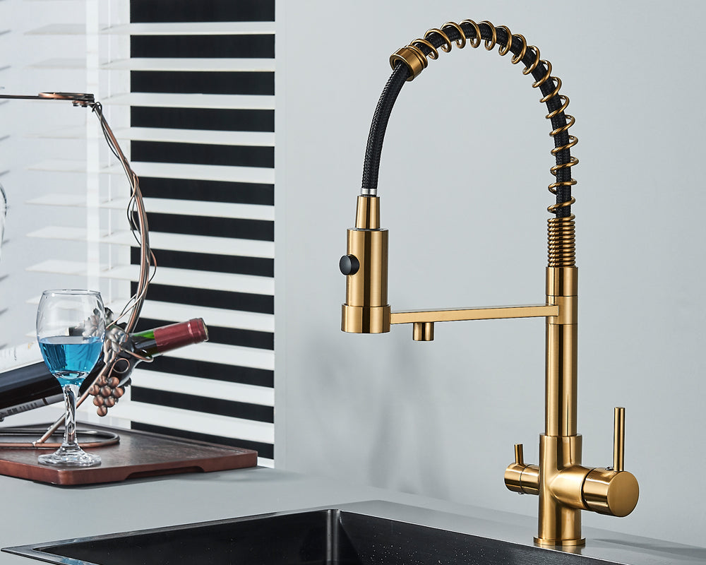 Sandsberg Black Filter Kitchen Faucet with Dual Outlet – Mixing Tap with Water Filter for Kitchens, Water Treatment and Cleaning