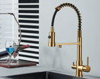 Sandsberg Black Filter Kitchen Faucet with Dual Outlet – Mixing Tap with Water Filter for Kitchens, Water Treatment and Cleaning