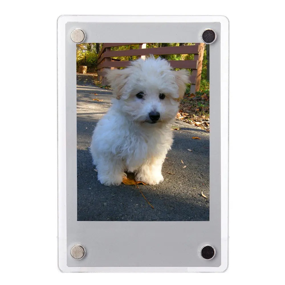 Magnetic Acrylic Photo Frame 5 Piece Set