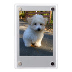 Magnetic Acrylic Photo Frame 5 Piece Set