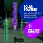 LumaFlair Solar Garden Light | Color Changing LED | Weatherproof | With Ground Spike
