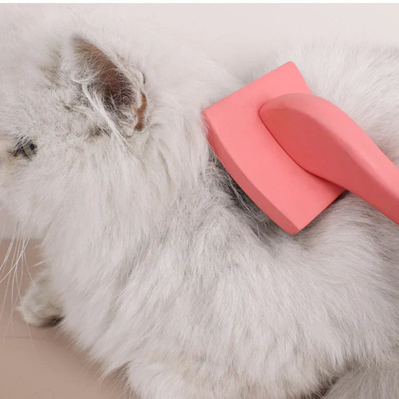 Natural Fur Care Brush ProRake | Manual Hair Removal Brush with Wooden Handle | Reusable & Durable | 21×10 cm