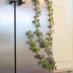 Designer Ivy Refrigerator Magnet