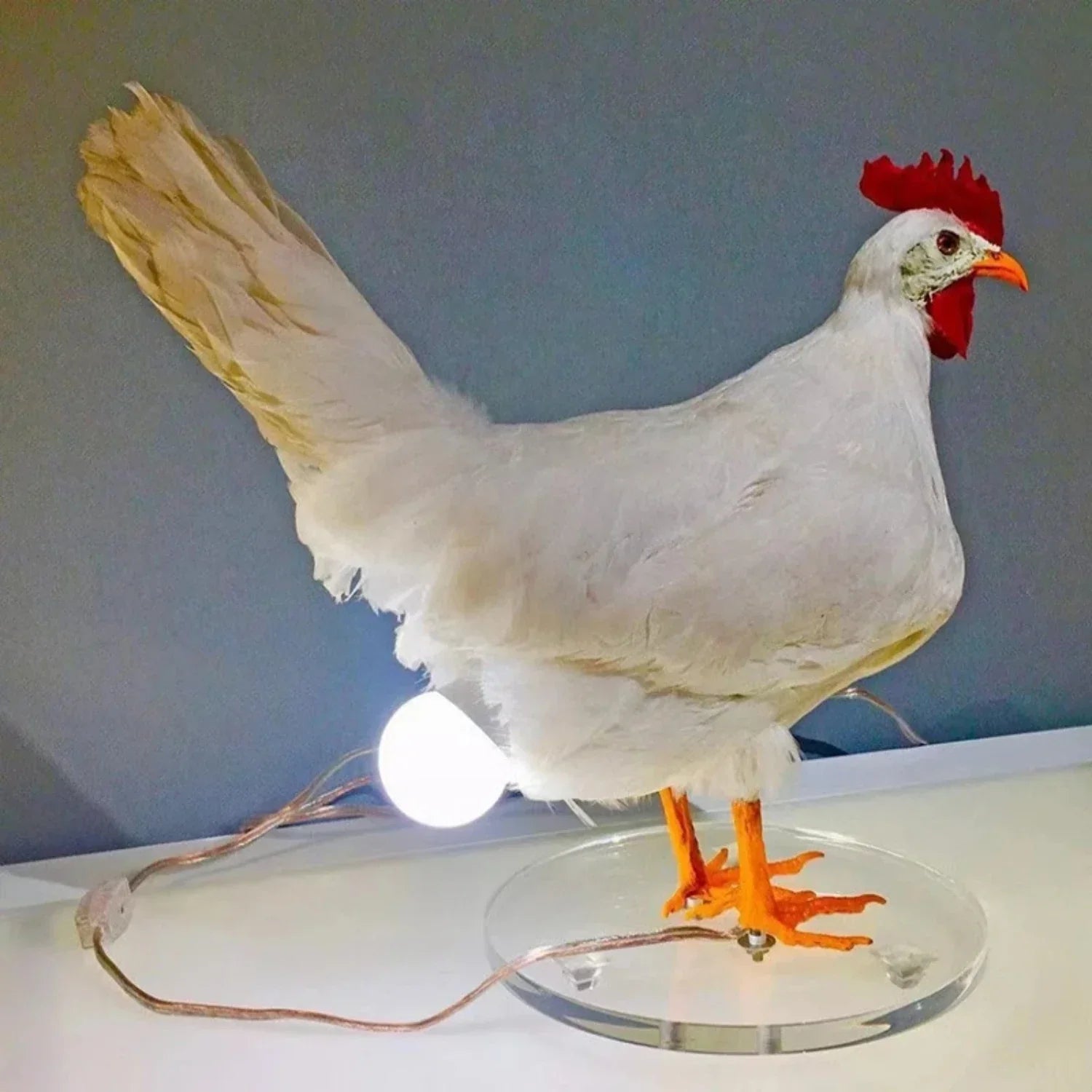 Farmhouse Chicken Table Lamp