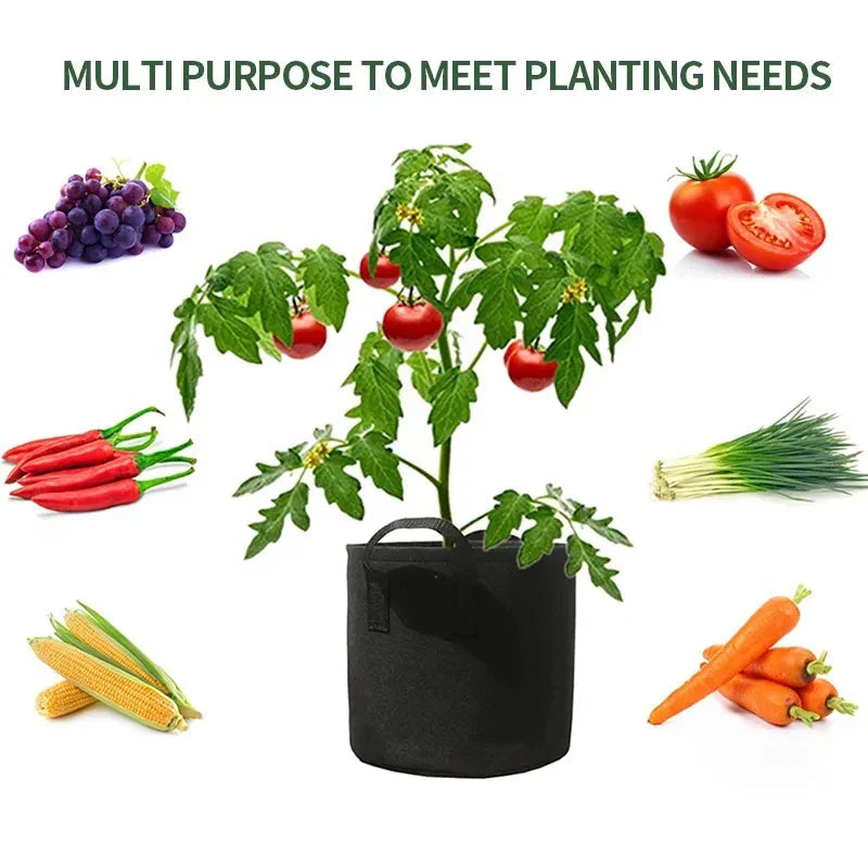 Planting bag made of nonwoven fabric – Robust garden container with handles for plants