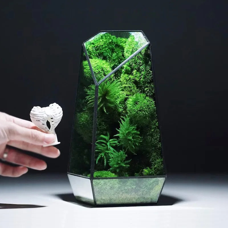 Modern Geometric Nature-Inspired Botanical Terrarium