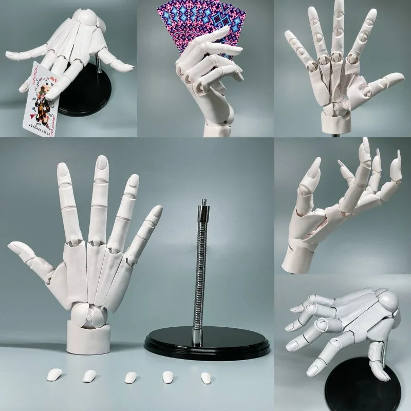 Multi-Pose Drawing Sculpting Art Hand Model