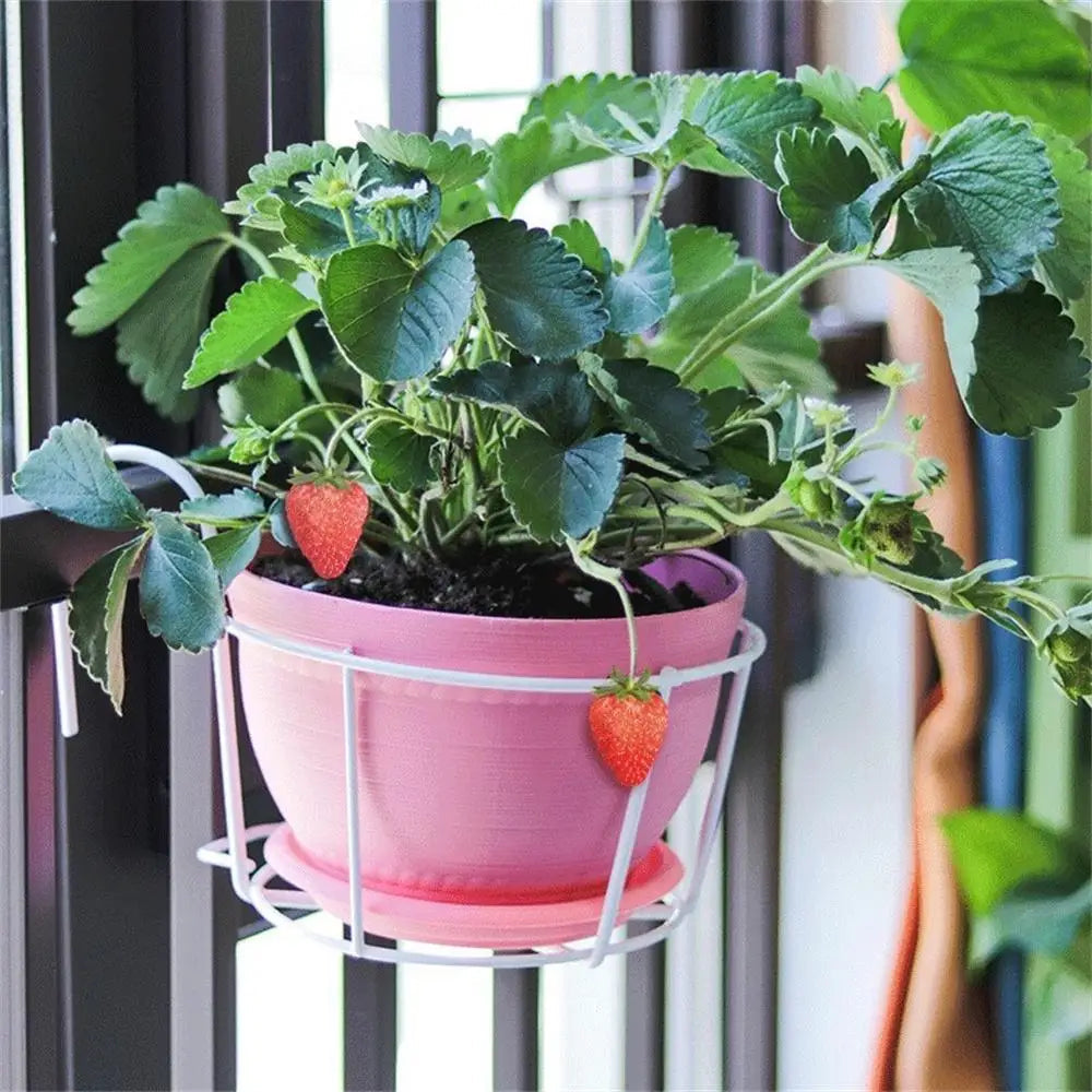 Practical plant pot holder with stable metal frame for balcony and terrace
