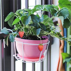 Practical plant pot holder with stable metal frame for balcony and terrace