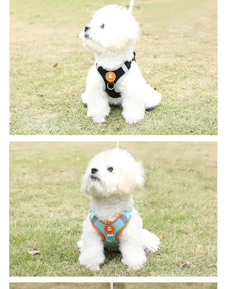 Breathable dog harness adjustable & comfortable