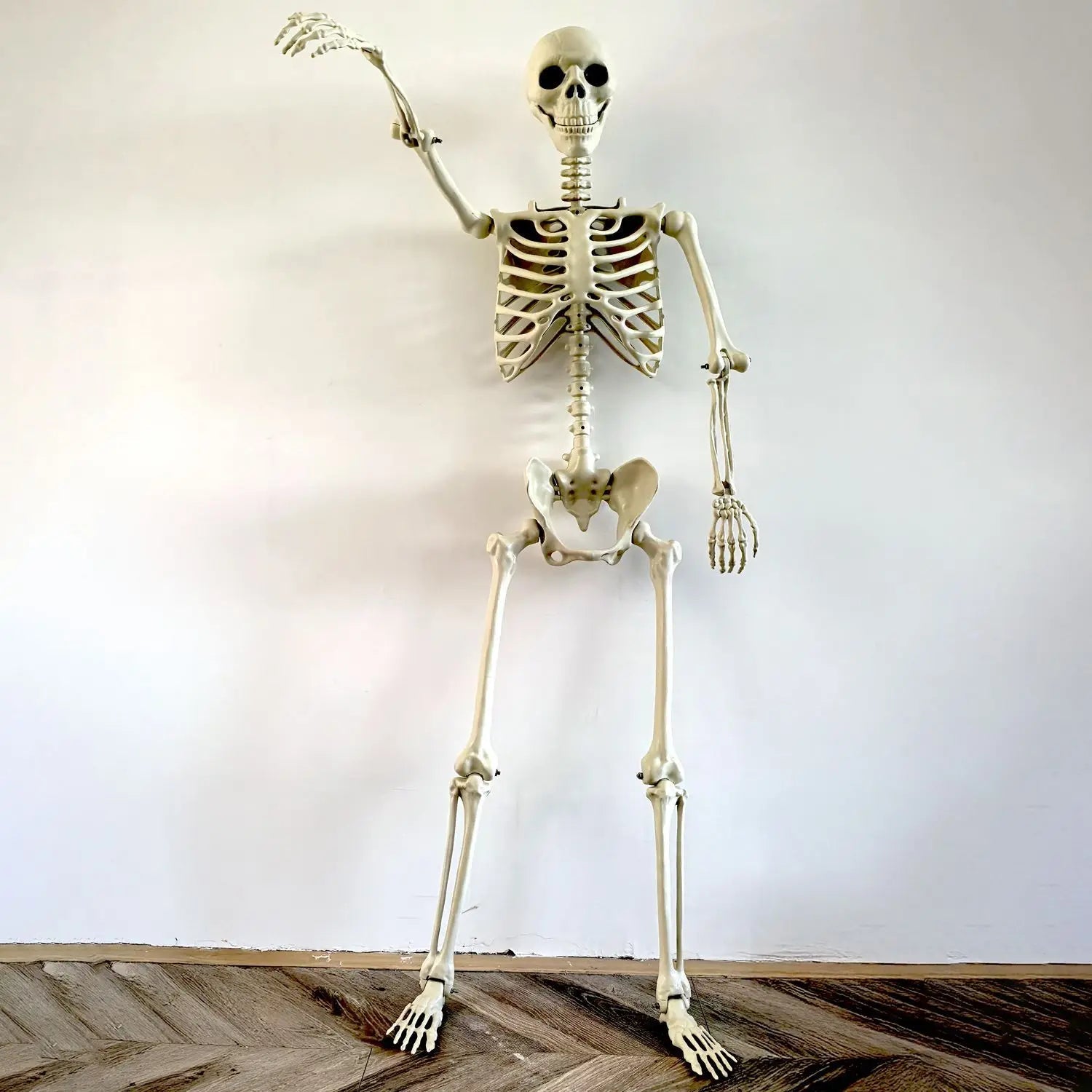 Movable human skeleton 90–165 cm — realistic decoration for Halloween and horror parties