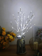 LumaFest LED Christmas Lighting – Energy-Efficient Ambient Lighting for Indoor and Outdoor