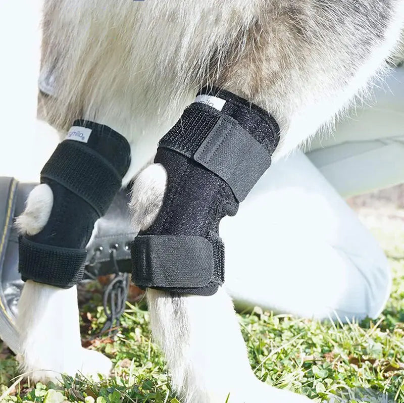 Orthopedic joint brace for dogs stabilizing
