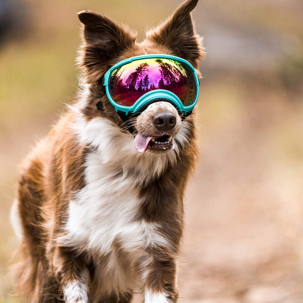 Dog sunglasses with UV protection windproof adjustable