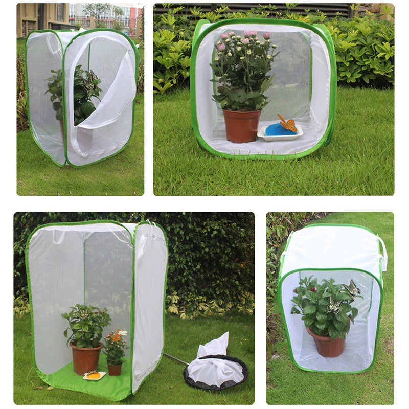 Viventra Folding Insect Habitat | Breeding & Observation Net | Stainless Steel Frame | For Butterflies, Crickets & Silkworms