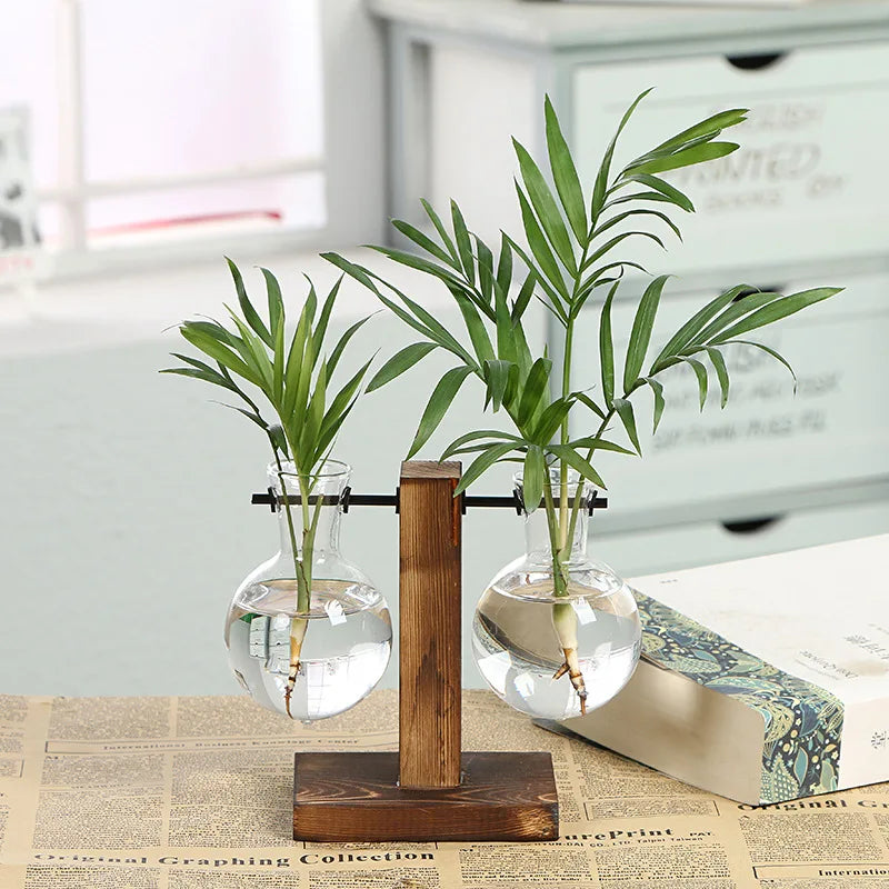 Vasoya Glass Vases | 3-Piece Set with Wooden Frame | Scandinavian & Versatile | For Flowers & Hydroponics