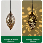 Solar Water Drop Light for Outdoor Environments
