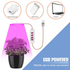 Plantuno Ring Plant Light | LED Grow Light with Timer | USB | Dimmable & 3 Light Colors | 1–4 Heads