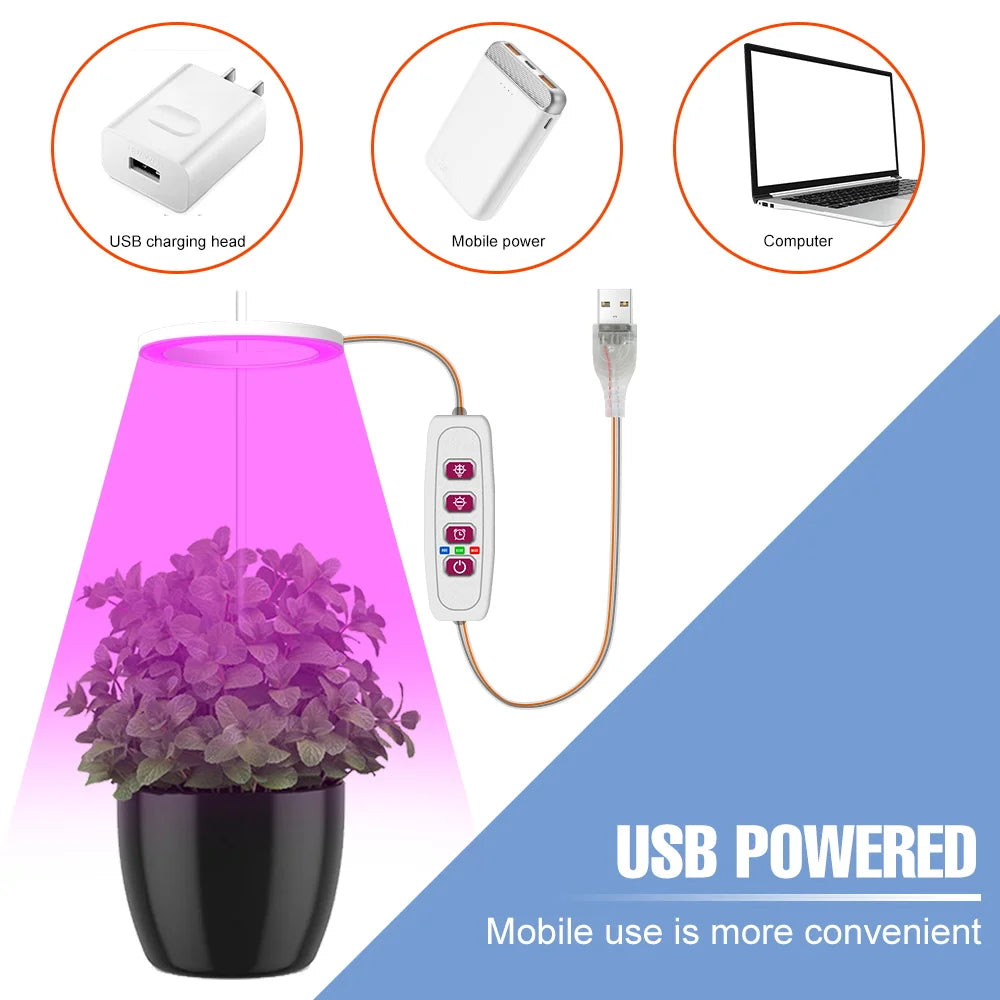 Plantuno Ring Plant Light | LED Grow Light with Timer | USB | Dimmable & 3 Light Colors | 1–4 Heads