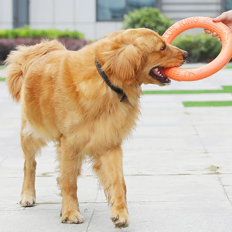 Floating EVA Training Ring for Dogs