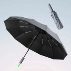 WeatherGuard – Wind and waterproof pocket umbrella