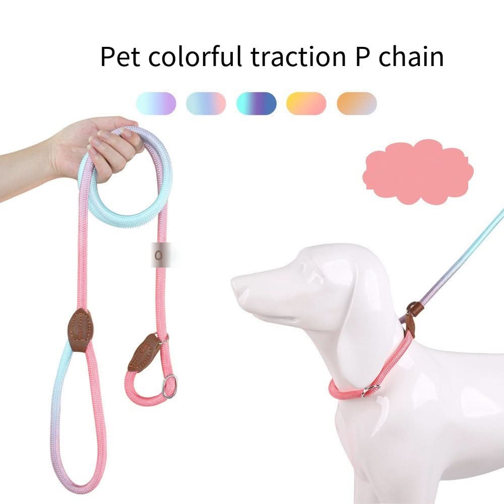Colorful Dog Leash for Stylish Walks