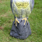 Falcono BirdGuard Bird Scare Bird of Prey Decorative Figure | Realistic Eagle Decoy Made of Plastic | For Garden & Balcony