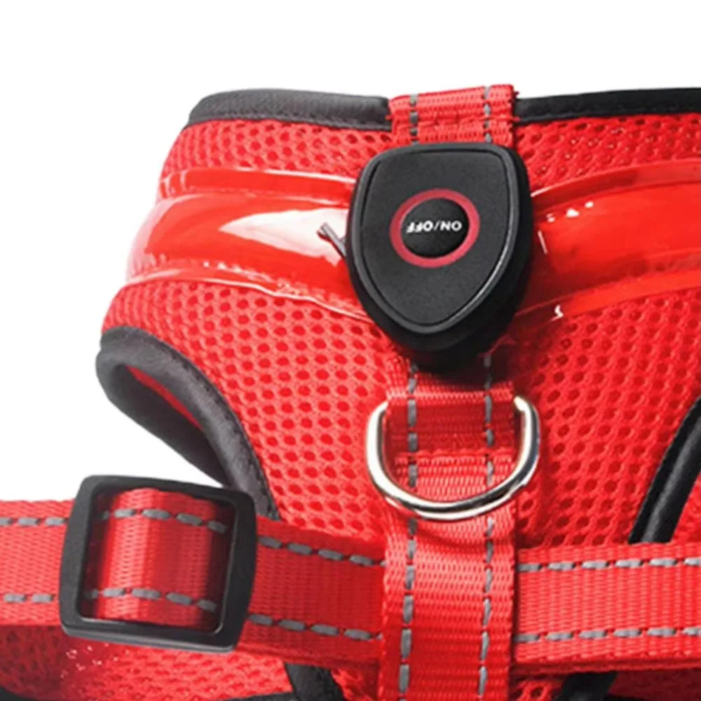 LED Dog Harness USB rechargeable & adjustable