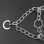 Dog Pincher Collar - Stylish B