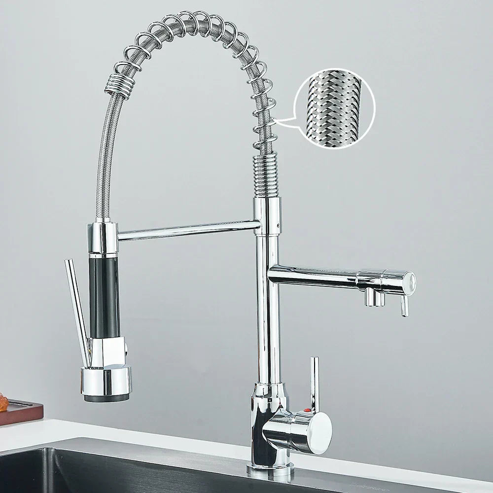SpringFlow – Kitchen faucet with dual outlet