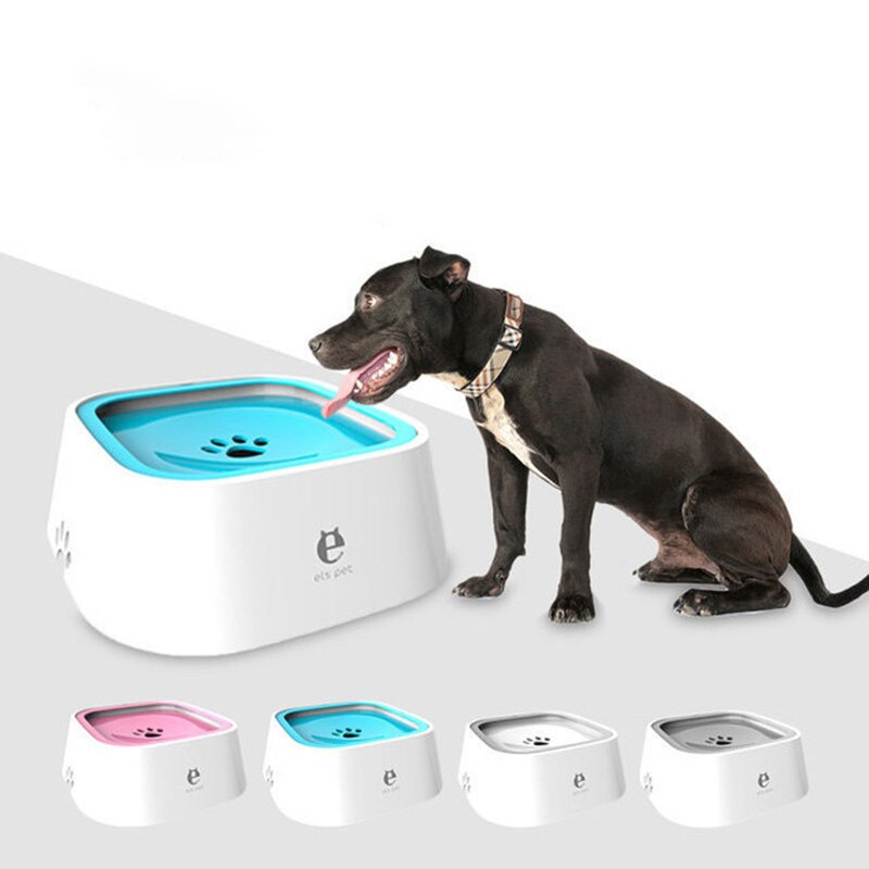 SplashGuard – Efficient Dog Spray Protector Against Stains