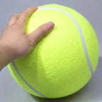 Extra large tennis ball for dogs