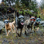 Dog sunglasses with UV protection windproof adjustable